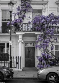 Poszter 21x29,7cm Ház a Portobello úton 2, Assaf Frank