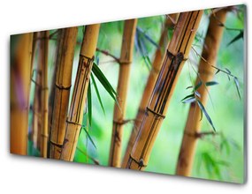 Akrilüveg fotó Nature bambusz növény 100x50 cm
