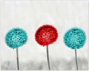 Poszterek 50x40 Piros pitypang