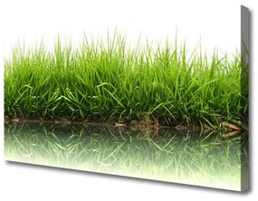 Vászonkép falra Grass Nature Plant 100x50 cm