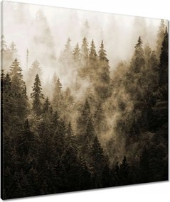 Vászonkép 70x70 Tájkép Szépia Hegyek Köd