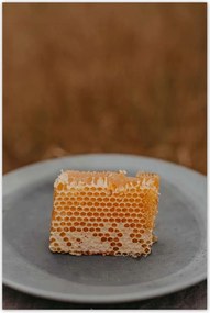 Poszterek 80x120 Méz Méhészet