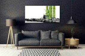 Fali üvegkép Bamboo gyönyörű grafika 100x50 cm