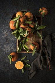 Művészeti fotózás Oranges, Diana Popescu, (26.7 x 40 cm)