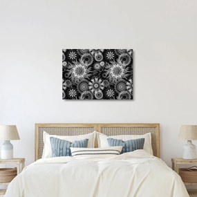 Kép - Fekete és fehér gyűszűvirág (70x50 cm)