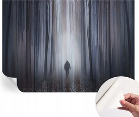 Fotótapéta Fali tapéta Hálószobába és Nappaliba Erdei csend 312x219 cm