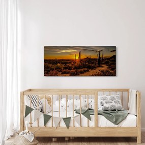 Kép - A nap vége az arizonai sivatagban (120x50 cm)