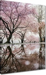 Vászonkép 50x70 Fa Fák Kilátás