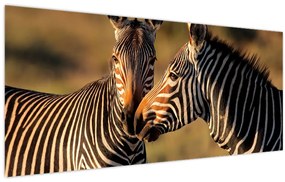 Kép - Két zebra (120x50 cm)