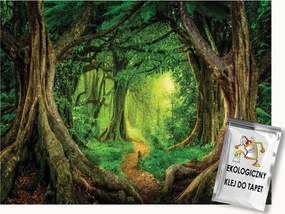 Fotótapéta Flizelina Elvarázsolt Erdő Fák Mágikus Sikátor 150x105 ragasztó