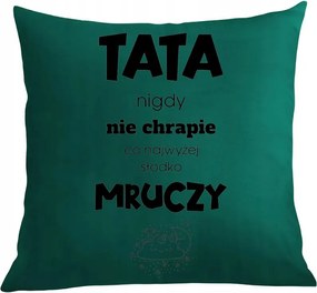 Párna párnahuzat Apa nem horkol édesen dorombol