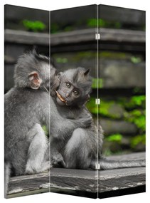 Paraván - majmok (126x170 cm)