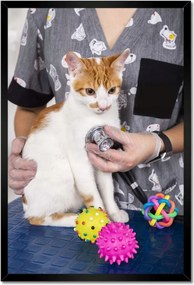 Poszterek keretben 40x60 Állatorvosi konzultáció