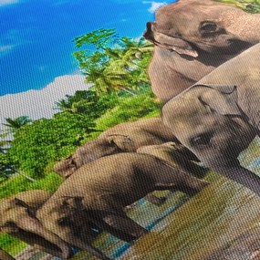 Kép - Elefántok, Sri Lanka (150x105 cm)