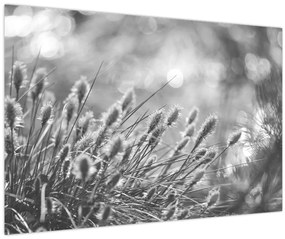 Kép - Bézs színű puha fű N⁰1 (90x60 cm)