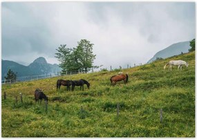 Poszterek 100x70 Tájképek Kilátások Tájképek