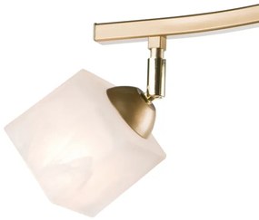 spotlámpa KLARA 3xE14/40W/230V arany