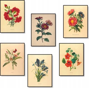 Poszterek Vintage Virágok Természet Poszter Szett 6 db A3 Kép Sok minta A3