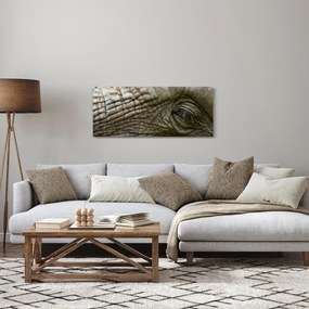 Kép - Közelkép az öreg elefánt szeméről (120x50 cm)