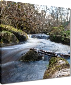 Vászonkép 50x50 Okos hegyi folyó