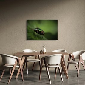 Kép - Légy (90x60 cm)