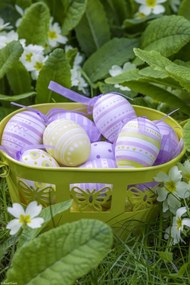 Poszter 20x30cm Húsvéti tojások kosárban 4, Assaf Frank