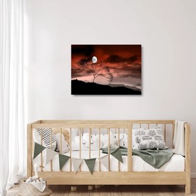 Kép - Hold megvilágítja az éjszakát (üvegen) (70x50 cm)