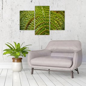 Kép - Fern (90x60 cm)