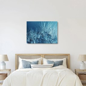 Kép - Harmatcseppek (üvegen) (70x50 cm)