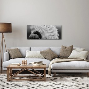 Pitypang képe - fekete fehér (120x50 cm)