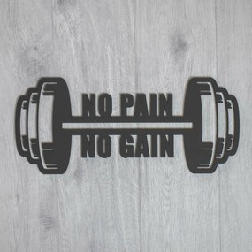 Motivációs idézet az edzésről - No Pain, No Gain