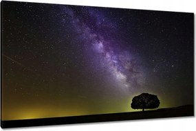 Vászonkép 120x70 Csillagos éj