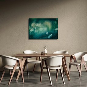 Kép - A fű részlete (70x50 cm)