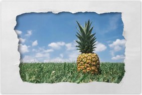 Poszterek 120x80 Ananász tájkép