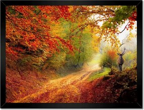 Poszterek keretben 40x30 Szarvas az erdőben