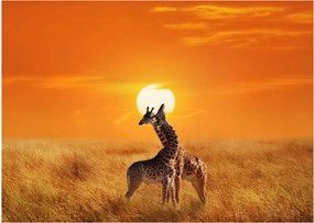 Üveg kép - Zsiráfok a Serengeti Nemzeti Parkban (70x50 cm)