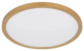 Globo 41562-18MM - LED Dimmelhető mennyezeti lámpa SAPANA LED/18W/230V IP44