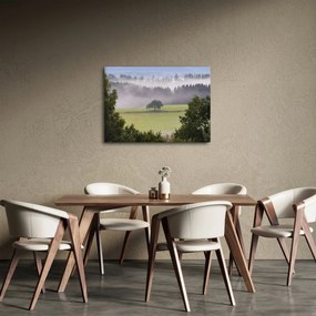 Egy kép a rétről egy fával (70x50 cm)