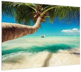 Kristálytiszta tenger és a pálmafa képe (70x50 cm)