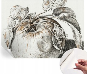 Dekoratív öntapadós fotótapéta irodába Alma levelek 208x146 cm