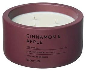 Illatos szójaviasz gyertya égési idő 25 ó Fraga: Cinnamon & Apple – Blomus