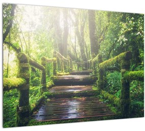 Kép - falépcsők az erdőben (üvegen) (70x50 cm)