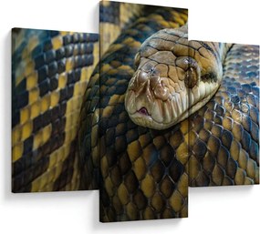 Kép - Piton (90x60 cm)