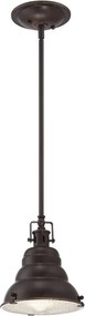 Quoizel EASTVALE QZ-EASTVALE-P-S Függőlámpa 1x60W/E27