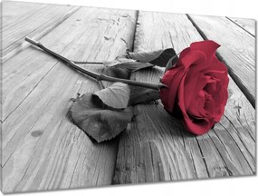 Festmények 120x80 Rózsa a mólón
