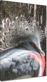 Vászonkép 80x120 Színes madár