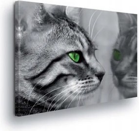 Vászonkép 60x40 Macska szemek zöld szemek fekete-fehér fotó