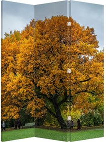 Paraván - Fa (126x170 cm)