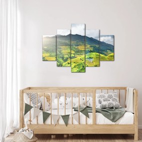 Ültetvények képe (150x105 cm)