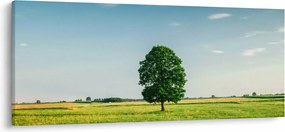 Egy fa képe egy rét közepén (120x50 cm)
